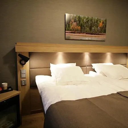 ホテル Toivola 4*